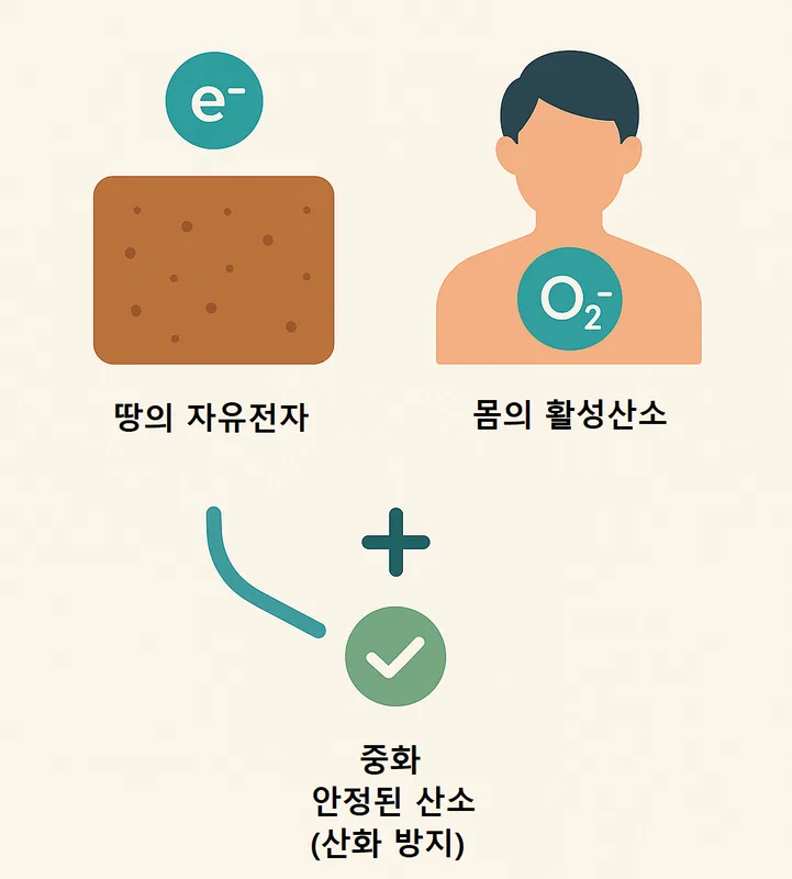 🧠치매 걸린 분들은 무조건 벗으세요