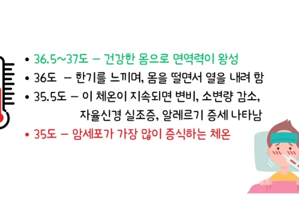 손발이 찬 게 왜 면역력 저하 신호일까요?