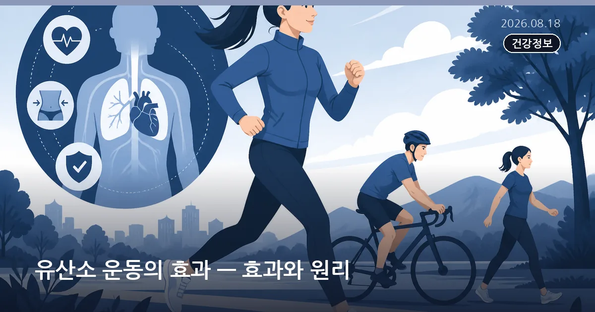 유산소 운동의 효과 — 효과와 원리